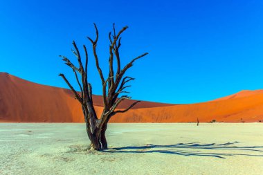 Sussussflay gölünün dibinde. Namib Çölü 'nde Clay Platosu. Güneşli bir sabah. Namib Naukluft çölüne büyük bir yolculuk. Egzotik, ekstrem ve fotoğraf turizmi kavramı