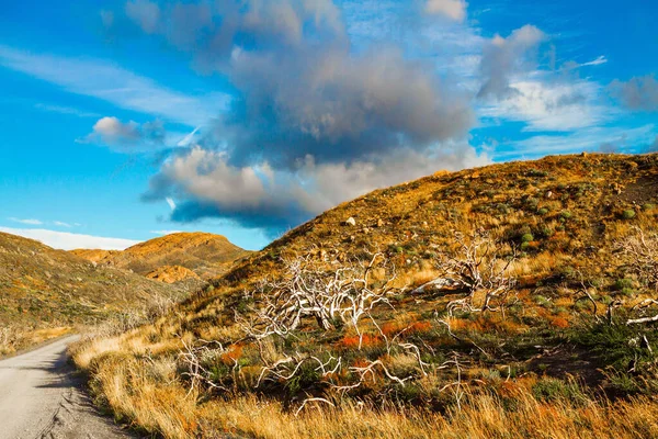 Hémisphère Sud Amérique Sud Nuages Patagonie Chemin Terre Parmi Herbe — Photo