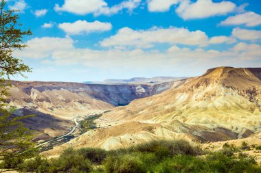 Muhteşem vadi Ein Avdat, Negev Çölü 'dür. Aktif, çevresel ve fotoğraf turizmi kavramı. Yukarıdan hava görünümü  
