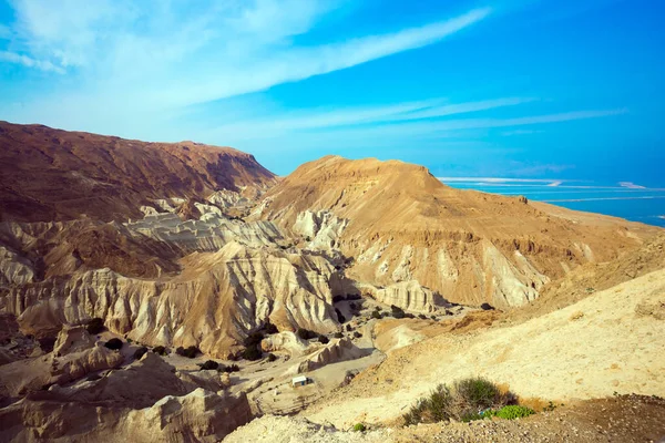 Wspaniały Wąwóz Ein Avdat Jest Najpiękniejszy Pustyni Negev Obrębie Murów — Zdjęcie stockowe