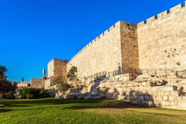 Eski duvarların altında büyüyen sevimli yeşil çimenler. Yaz batımı. Eski Kudüs 'ün kale duvarı. Antik Kale - Davut Kulesi. Tarihi, hacı ve fotoğraf turizmi kavramı