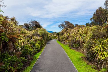 Parktaki patika. Pancake Rock Paparoa Ulusal Parkı, Yeni Zelanda 'nın doğal bir harikasıdır. Dünyanın sonuna doğru inanılmaz bir yolculuktu. Ekolojik, aktif ve fotoğraf turizmi kavramı