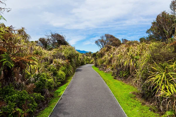 Parktaki Patika Pancake Rock Paparoa Ulusal Parkı Yeni Zelanda Nın — Stok fotoğraf