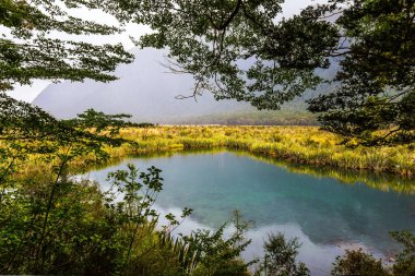 Yağmurlu bir sabahta Ayna Gölü. Milford Sound yolu. Bulutlar ve sis dağları kaplıyor. Güney Adası, Yeni Zelanda 'nın görkemli doğası.