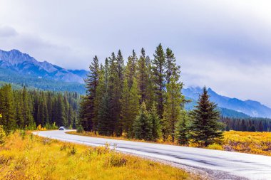 Kanada Kayalıkları 'nda bulutlu sonbahar günü. Mükemmel yollar Kanada Kayalıkları 'nı geçer. Gün batımı. Evergreen ormanı yol kenarında yetişir. Etkin, eko ve fotoğraf turizmi kavramı