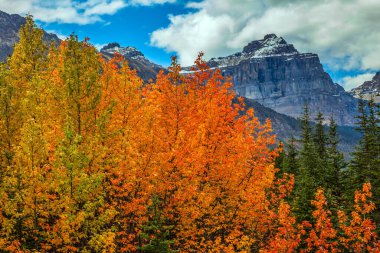 Kanada 'nın Rocky Dağları. Sarı, turuncu ve kırmızı sonbahar yaprakları dağlık araziyi süsler. Aktif, çevresel ve fotoğraf turizmi kavramı