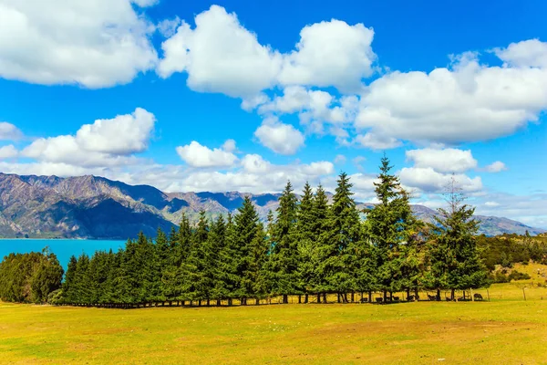 Naaldgroen Steegje Het Meer Turkoois Glad Water Van Het Meer — Stockfoto