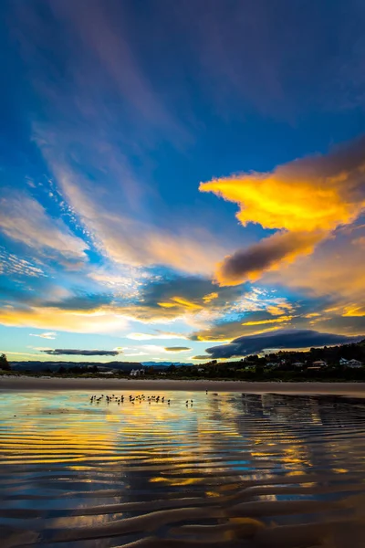 Een Zwerm Vogels Rust Het Water Bij Kust Stille Oceaan — Stockfoto