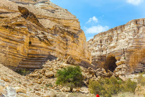 イスラエルの素晴らしい春 キャニオンEinアバット ルートの始まり ネゲヴ砂漠の美しい暖かい風の日 生態学的 能動的 写真的観光の概念 — ストック写真