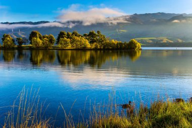 Ördek sürüsü pürüzsüz suda yüzer. Sabah erkenden. Queenstown yolunda kocaman sessiz bir göl var. Yeni Zelanda 'nın manzaralı yerleri. Aktif, ekolojik ve fotoğraf turizmi kavramı