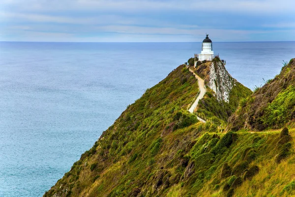Nugget Point Fyrtårn Cape Nugget Sydøen New Zealand Fyrtårnets Hvide - Stock-foto