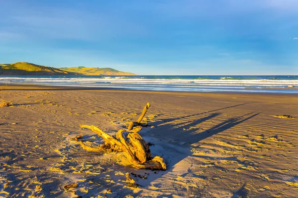 Suchy Haczyk Piaszczystej Plaży Nowa Zelandia Wybrzeże Pacyfiku Przypływ Paski — Zdjęcie stockowe