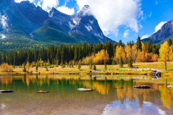 Montagna Delle Tre Sorelle Ricoperta Lussureggianti Nuvole Bianche Luminosa Foresta — Foto Stock