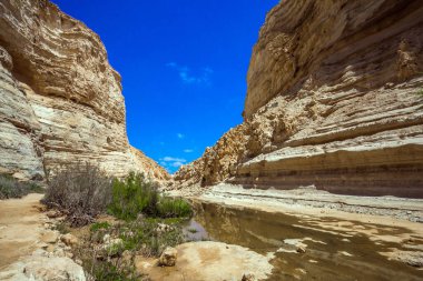 İsrail. Dağ geçidi Qing Nehri 'nin suları tarafından oluşmuştur. Muhteşem vadi Ein Avdat, Negev Çölü 'nün en güzelidir. Rotadan başlayın. Vadinin duvarları mağaralarla aşınmış.
