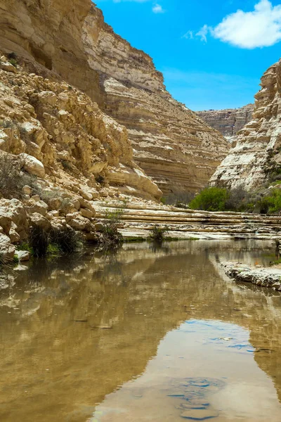 峡谷はネゲヴ砂漠で最も美しいです イスラエルだ 渓谷Ein Avdatは清河によって形成されます 渓谷の壁は洞窟によって腐食されている — ストック写真