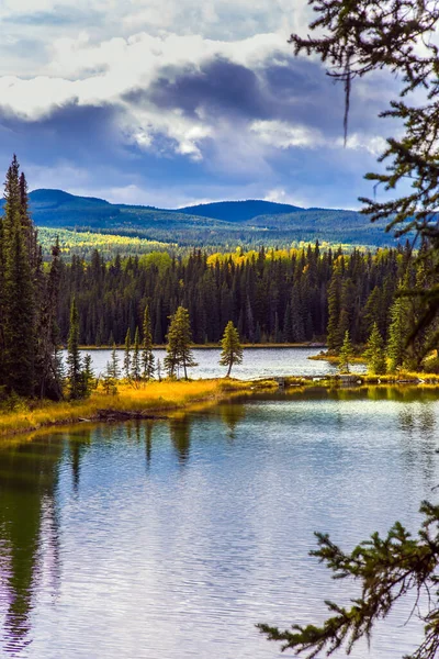 Rocky Mountains Kanada Lugn Grund Sjö Omgiven Skog Och Gult — Stockfoto