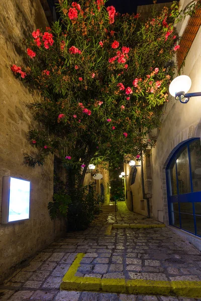 Bonne Nuit Les Ruelles Pittoresques Vieux Jaffa Magnifique Bougainvilliers Fleurit — Photo