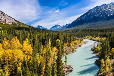 Sonbaharda sıcak güneşli bir gün. Abraham Lake, Rocky Dağları 'nın en güzel gölüdür. Göl kıyılarını yoğun ormanlar kaplıyor. Ekolojik ve aktif turizm kavramı