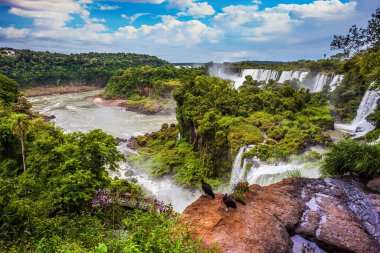 Ünlü siyah And Akbabaları çıkıntının kenarında otururlar. Resimli bazaltik çıkıntılar şelaleleri oluşturur. Şelaleler Iguazu. Ekstrem ve egzotik turizm kavramı