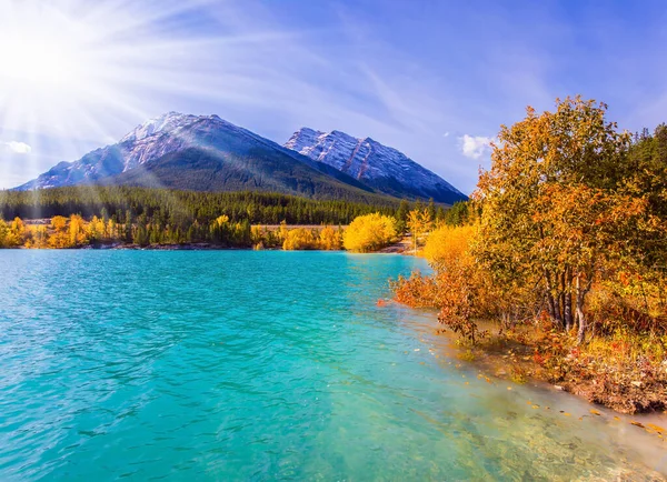 加拿大落基山脉 秋天的人工亚伯拉罕湖水泛滥 杨树和桦树的金黄色叶子 秋天的阳光温暖了山谷 积极旅游和摄影旅游的概念 — 图库照片