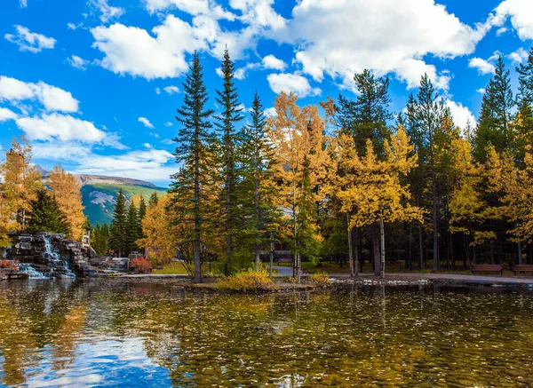 Lac Peu Profond Avec Des Feuilles Automne Jaunes Automne Luxuriant — Photo