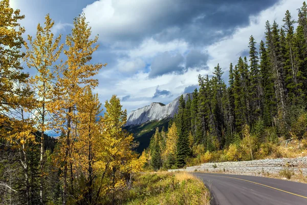 Miette Kaplıcaları Giden Yol Rockies Sıcak Pınarı Peri Masalı Kanada — Stok fotoğraf