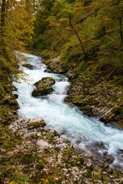Slovenya. Wintgar Gorge, Julian Alpleri. Dağ nehri Radovna 'nın soğuk masmavi suları Vintgar vadisinin sarp uçurumları arasında akar. Aktif, çevresel ve fotoğraf turizmi kavramı
