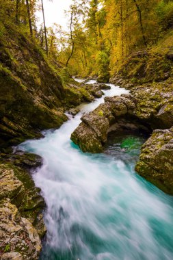 Slovenya. Resimli Vintgar Vadisi, Julian Alpleri 'ndeki kanyon. Radovna nehrinin fırtınalı, soğuk suları sarp kayalıklar arasında akar. Aktif, çevresel ve fotoğraf turizmi kavramı