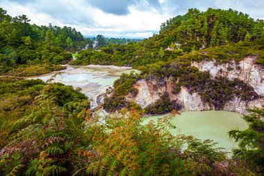 Rotorua 'nın eşsiz jeotermal alanı. Yeni Zelanda, Kuzey Adası. Waimangu Volkanik Yarık Vadisi. Cehennem Krateri Gölü büyük bir kaplıcadır. Egzotik, ekolojik ve fotoğraf turizmi kavramı