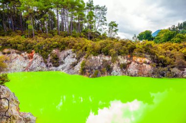 Rotorua 'nın eşsiz jeotermal alanı. Açık yeşil su renginde Şeytan Hamamı. Volkanik Vadi Waimangu, Wai-O-Tapu. Yeni Zelanda, Kuzey Adası. Aşırı, egzotik ve fotoğraf turizmi konsepti