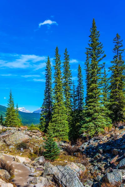 Malowniczy Kamienny Brzeg Wokół Jeziora Moraine Canadian Rockies Prowincja Alberta — Zdjęcie stockowe