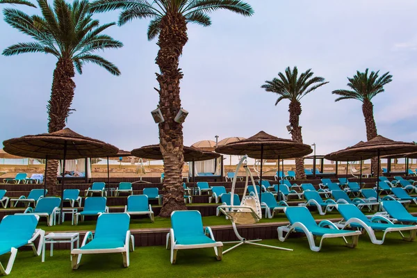 Spiaggia Con Ombrelloni Palme Lettini Famoso Mar Morto Guaritore Mattina — Foto Stock