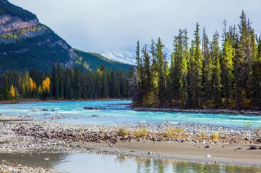 Athabasca Nehri Jasper Park 'taki Columbia Buzulu' nda başlar. Dağlar, nehirler ve şelaleler muhteşem manzaralar oluşturur. Kanada mı? Seyahat, ekoloji ve fotoğraf turizmi kavramı
