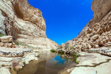 Muhteşem vadi Ein Avdat, Negev Çölü 'nün en güzelidir. İsrail. Vadi, Qing Nehri 'nin suları tarafından oluşmuştur. Aktif, çevresel ve fotoğraf turizmi kavramı