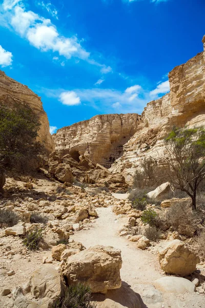 以色列 宏伟的埃文达特峡谷是内盖夫沙漠中最美丽的峡谷 墙里有许多山洞和岩石 启动路线 活动旅游和摄影旅游的概念 — 图库照片