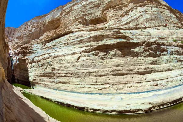 峡谷Ein Avdat是由清江形成的 以色列 绿色的镜湖 内盖夫沙漠中央的风景如画的瀑布 用鱼眼镜头拍照 — 图库照片