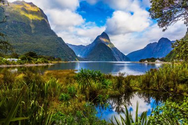 Serin bir sabahta Milford Sound 'un pitoresk fiyordu. Hayattaki en iyi yolculuk. Yeni Zelanda 'nın Güney Adası. Aktif ve ekolojik turnuva kavramı
