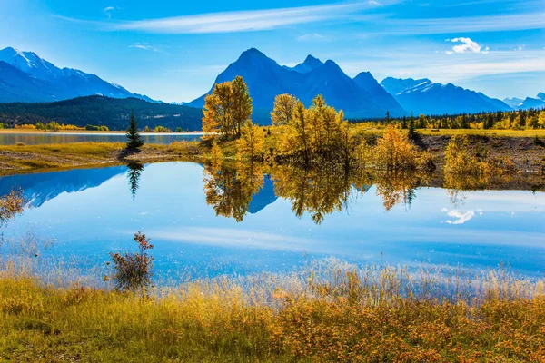 壮大な人工湖アブラハムの鏡面は雲と木を反映しています カナダのロッキー山脈で晴れた秋の日 生態系と積極的な観光の概念 — ストック写真