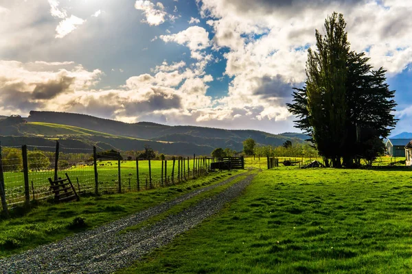 South Island Van Nieuw Zeeland Groene Velden Zijn Omgeven Door — Stockfoto