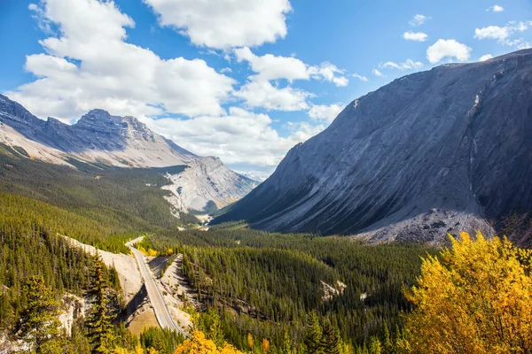 Indisk Sommer Jasper Park Storslået Motorvej Blandt Nåleskove Grandiose Bjerglandskab - Stock-foto