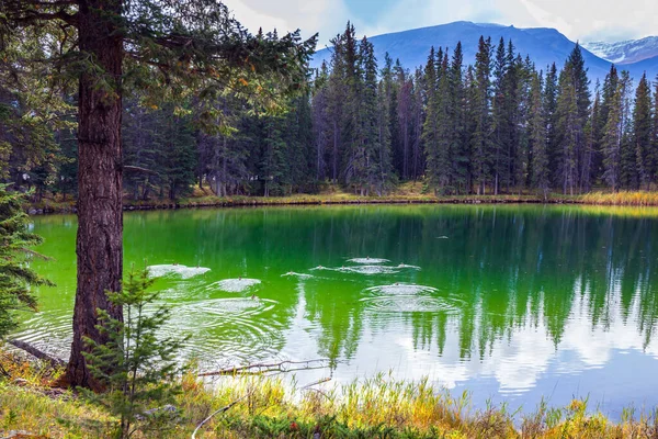 Pequeno Lago Redondo Com Água Verde Fria Montanhas Rochosas Canadá — Fotografia de Stock