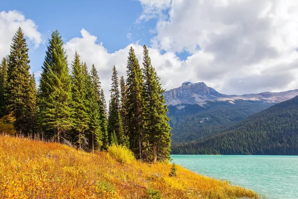 Los Rockies Canadienses Picos Montaña Bosque Coníferas Rodean Lago Esmeralda —  Fotos de Stock