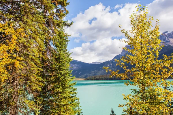 Malerischer Riesiger See Den Kanadischen Rocky Mountains Nadelwälder Und Berggipfel — Stockfoto