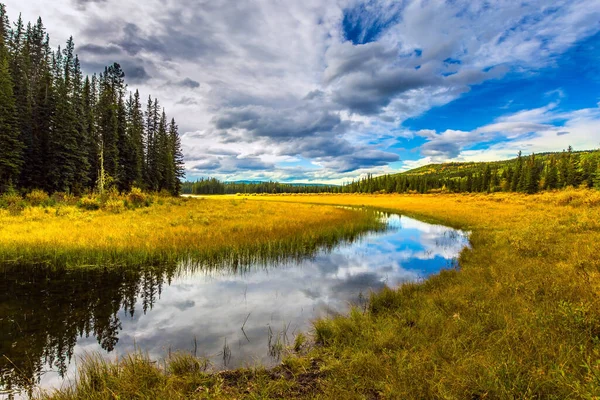 Gelbes Trockenes Gras Einen Flachen See Malerische Kanadische Rockies Nadelwald — Stockfoto