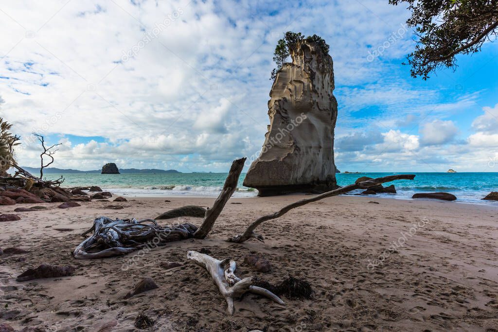 Grass and trees grow on picturesque huge rocks. Cathedral Cove on the North Island of New Zealand. Ocean low tide at sunset. The concept of exotic, ecological and photo tourism