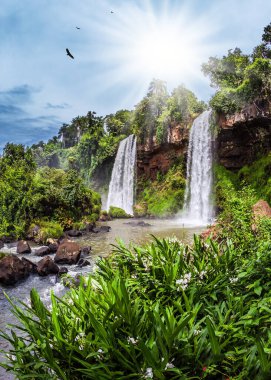 Two waterfalls from the Iguazu Falls in Argentina. Hot tropical sun illuminates the rumbling waterfalls. The concept of extreme and ecological tourism clipart