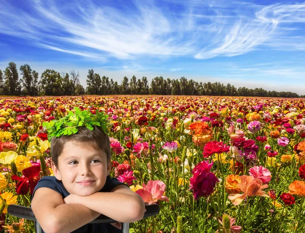 Spring Israel Picturesque Kibbutz Field Flowering Garden Buttercups Cirrus Thin — Stock Photo, Image