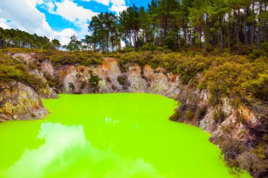 Parlak yeşil suyu olan Şeytan Hamamı. Wai-O-Tapu, Volkanik Vadi Waimangu. Rotorua 'nın eşsiz jeotermal alanı. Yeni Zelanda, Kuzey Adası. Aşırı, egzotik ve fotoğraf turizmi konsepti