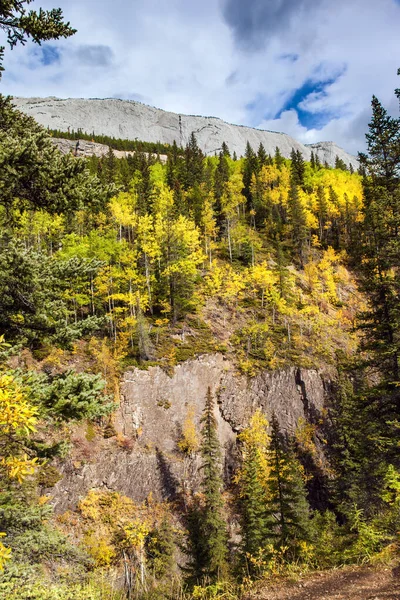 Die Magischen Farben Des Nördlichen Herbstes Orangene Gelbe Und Rote — Stockfoto