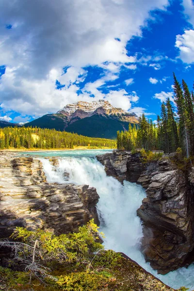 Góry Skaliste Kanady Rzeka Athabasca Zaczyna Się Jasper Park Potężny — Zdjęcie stockowe